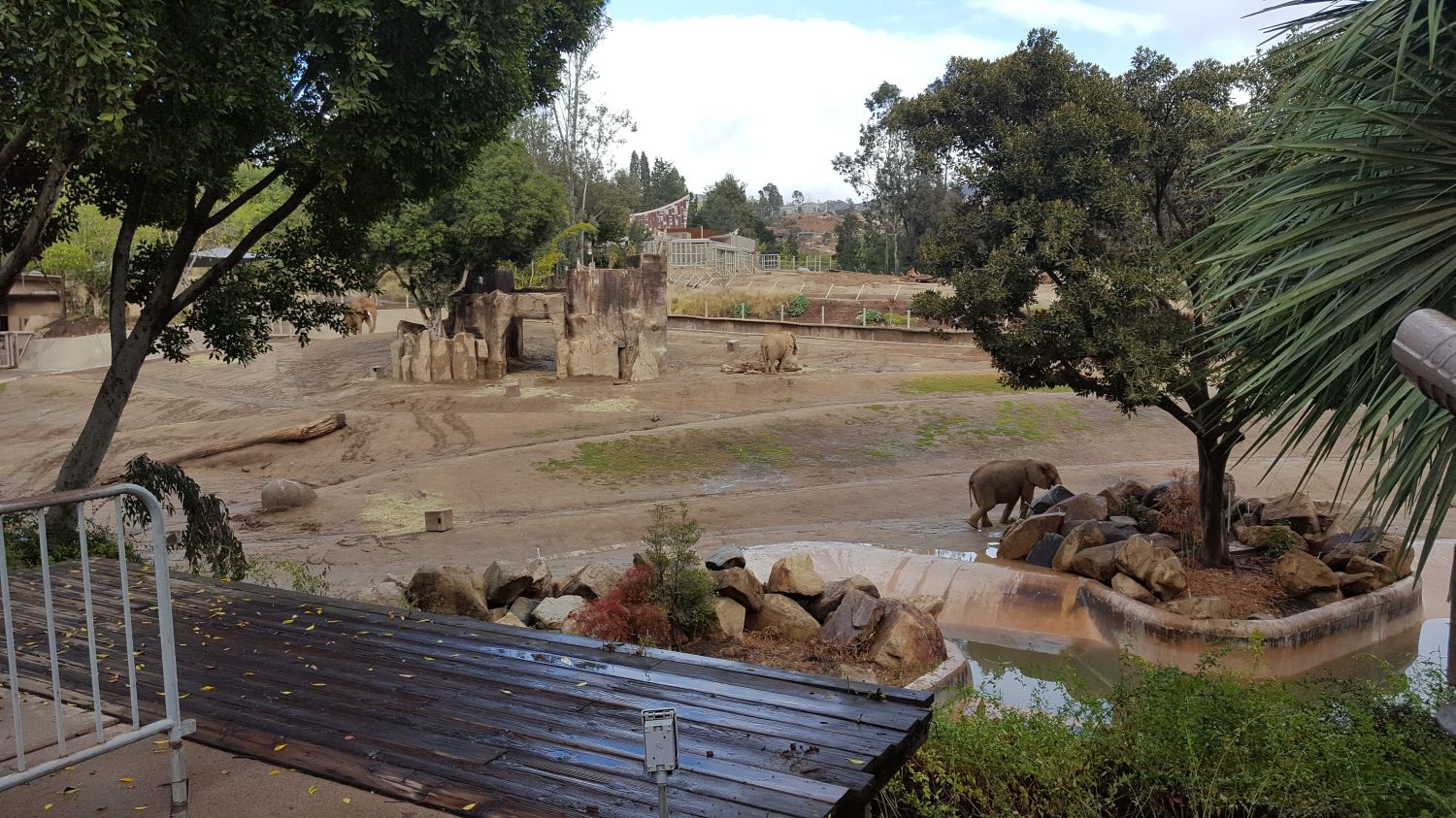 San Diego Zoo Safari Park - ZooChat